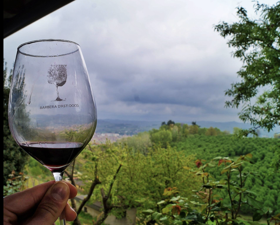 Lees meer over het artikel Barbera, de druif bij ons in de Monferrato