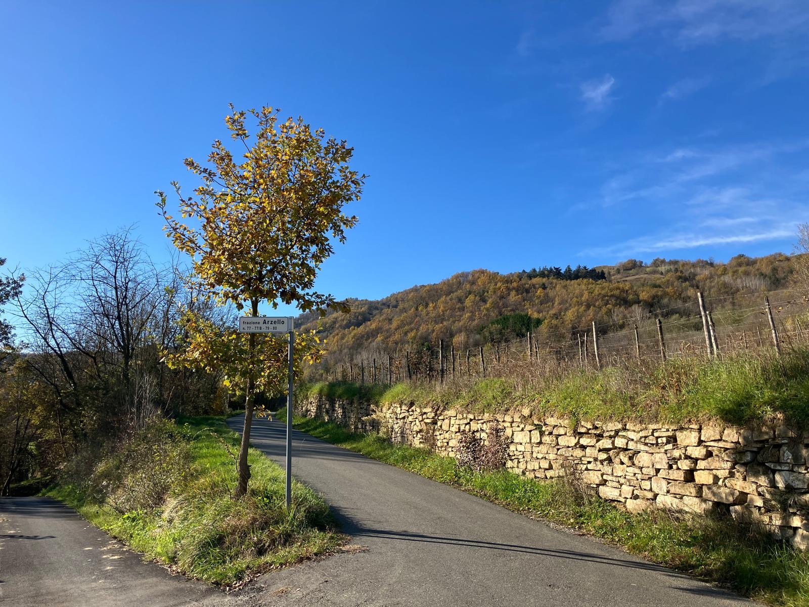 Lees meer over het artikel Casa Valle Erro update – november 2024