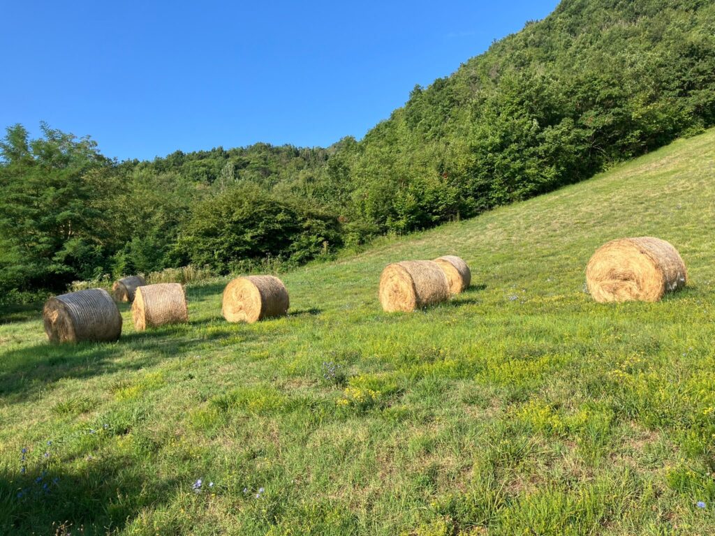 vakantie italianen