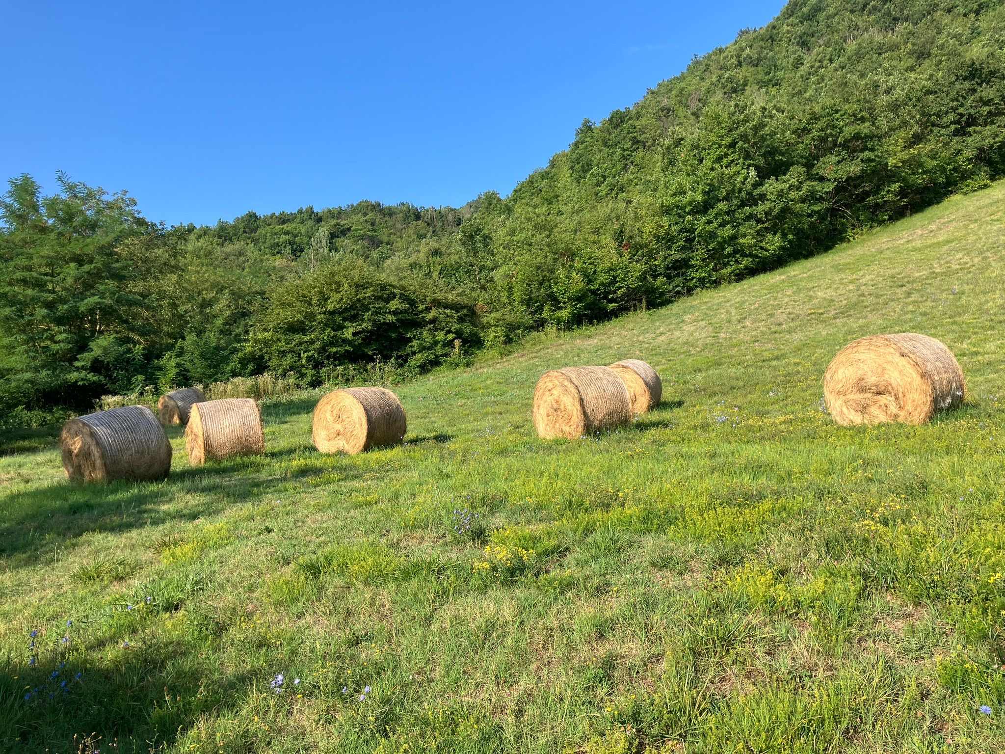 vakantie italianen